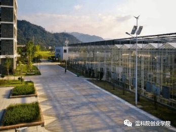 我院入选省级创业孵化示范基地