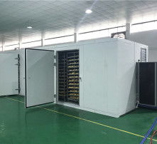 高清图片