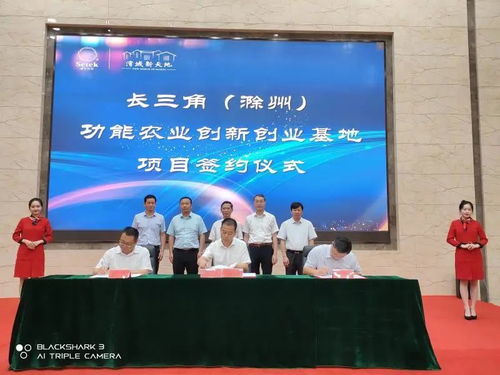 全国首个 这一基地正式落户滁州