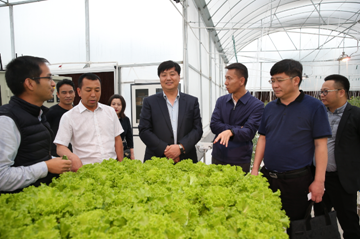 延安市委副书记一行抵深考察深圳三德农业