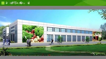 林梅徐毅听取有机蔬菜种植基地建设项目汇报