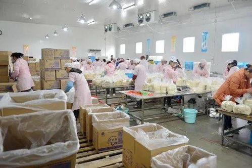 江苏泗阳现代农业产业园 生态 高效 特色 现代