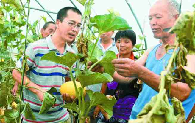 网上的人民日报