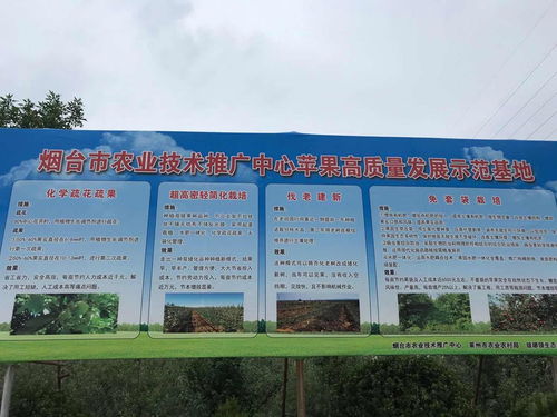 新技术 新模式助力烟台苹果高质量发展