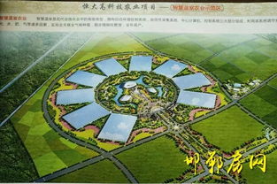 丛台区与恒大集团就田园综合体项目进行洽谈