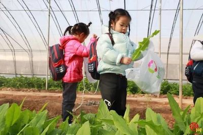 全国劳动模范坐镇的西城高科,8年来为三农创造了哪些惊喜?