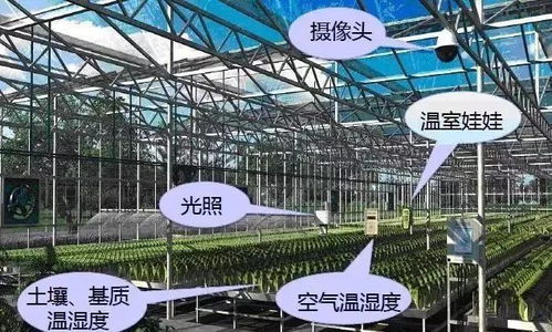 原来这就是现代农业,太震撼了