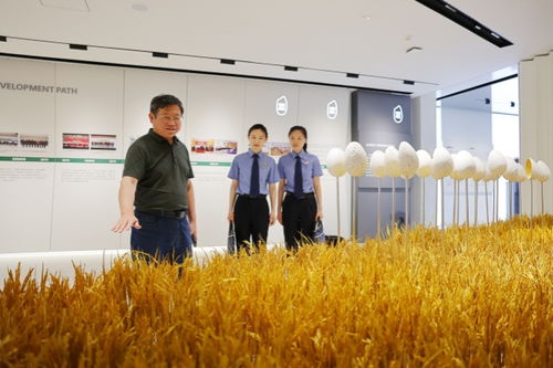 法治中国行 喜迎75华诞 共同书写发展新质生产力的安徽篇章