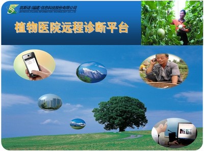 「凯斯诺」助力“植物医院远程诊断平台”暨海南农业厅项目工作汇报