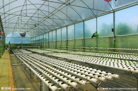 温室工程素材-温室工程图片-温室工程
