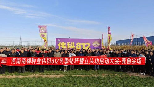 伟科812签约 抖快看 ,全程发力多抗广适 抗灾高产玉米c位出圈