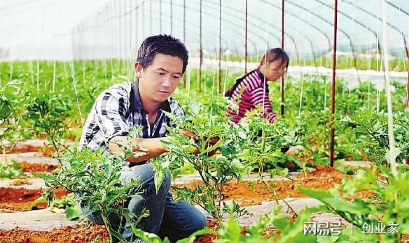 借10万元回家种菜,大学生创业搞智慧农业,8年后公司估值6000万