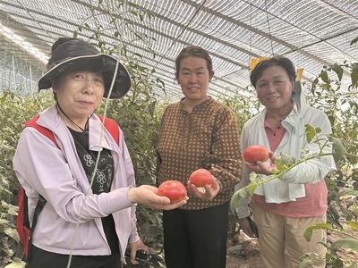 用心用情托起“稳稳的幸福”