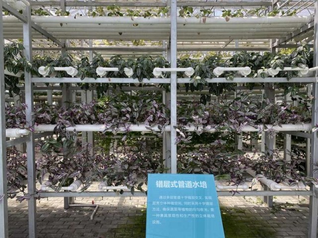 河南举办“耕地保护中原行”活动