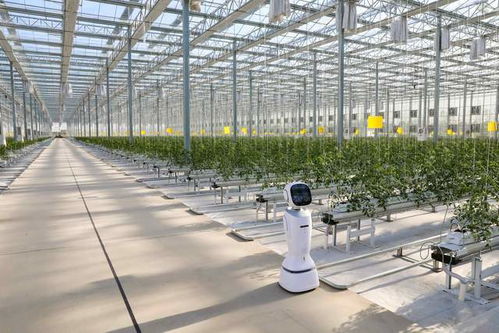 江苏盐城 扛起使命担当 奋力跨越赶超