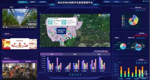 易刚高科 懂农业 为农民 帮农村 ,争做农业信息化领军企业