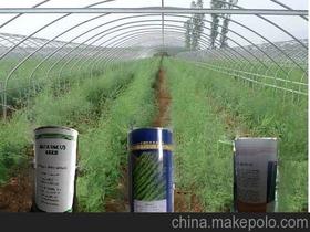 【北京蔬菜苗基地】_北京蔬菜苗基地价格_北京蔬菜苗基地批发_北京蔬菜苗基地