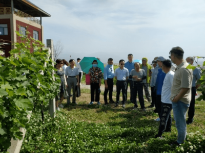 培训学习找差距 取经借鉴促提升——高科农业的实践与思考