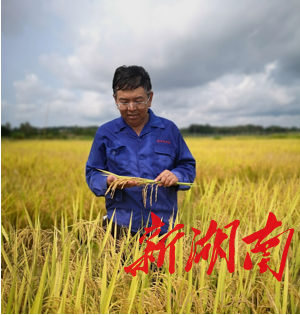 杨远柱荣获第七届湖南省省长质量奖，隆平高科彰显农业科技实力